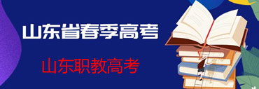 山東職教高考
